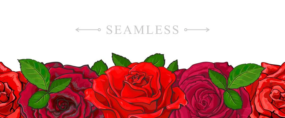 Red roses border seamless pattern with romantic hand drawn flower blooms. Stock Illustration