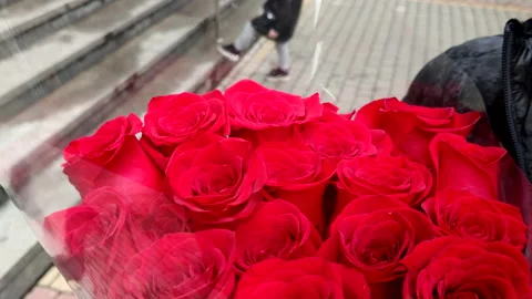 Red roses bouquet Stock Footage 156862162