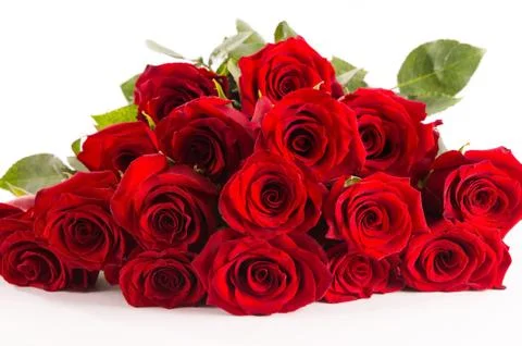 Red roses closeup Stock Photos
