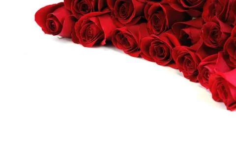 Red roses at the corner of white background Stock Photos
