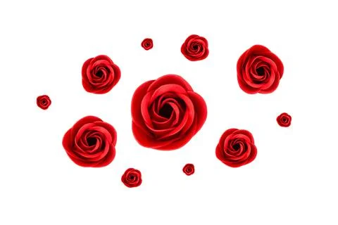 Red roses different sizes, view from above, pattern. Isolated on white backgr Stock Photos