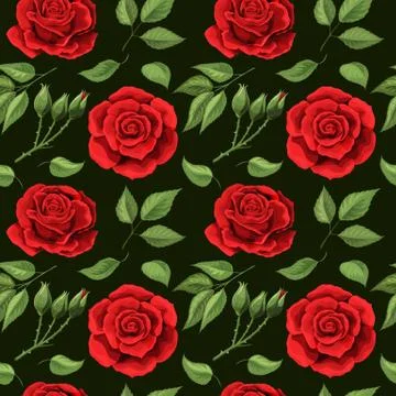 Red roses embroidery seamless pattern. Beautiful buds of red roses on black Stock Illustration