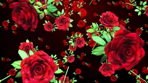 Red Roses Falling Down Background 库存影片 342907822