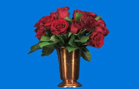 Red Roses Video stock 18388293