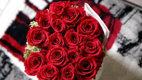 Red roses Stock Footage 101747658