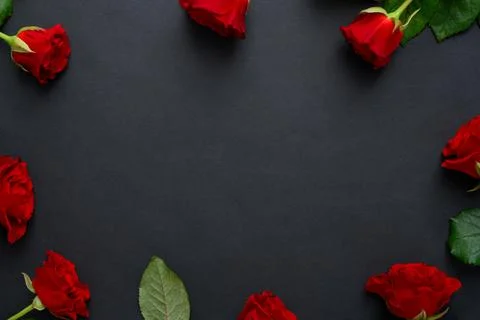 Red roses frame on a black background, copyspase. Stock Photos