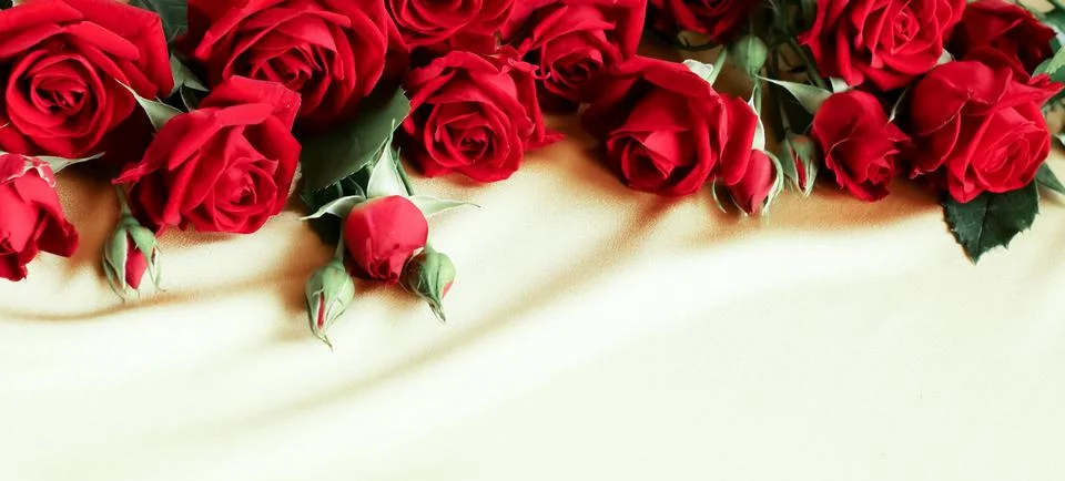 Red roses frame pattern on beige silk texture background with copy space. Select Stock Photos