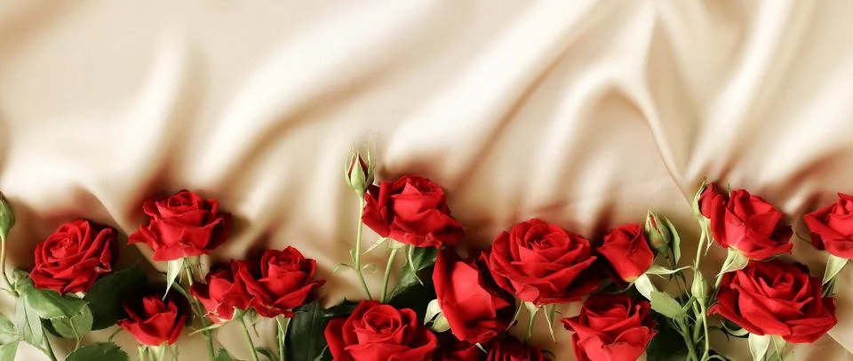 Red roses frame pattern on beige silk texture background with copy space. Select Stock Photos