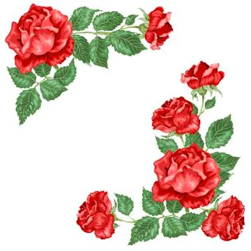 Red roses frames in vector ilustration Stock Illustration
