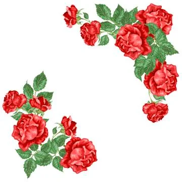 Red roses frames in vector ilustration 스톡 일러스트
