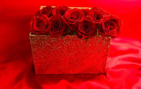 Red roses in a gift box on a red background for valentines day. Stock Photos