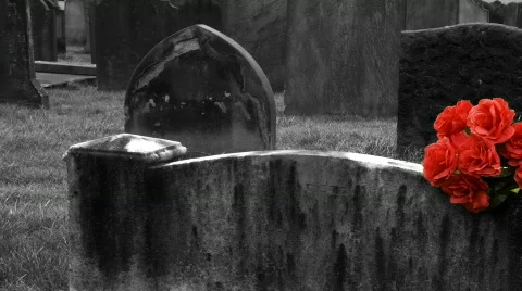 Red roses on gravestone 2 Stock Footage 346869