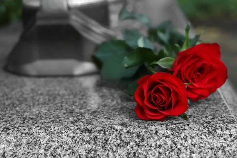 Red roses on grey granite tombstone outdoors, space for text Stock Photos