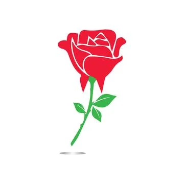 Red roses hand drawn Stock Illustration