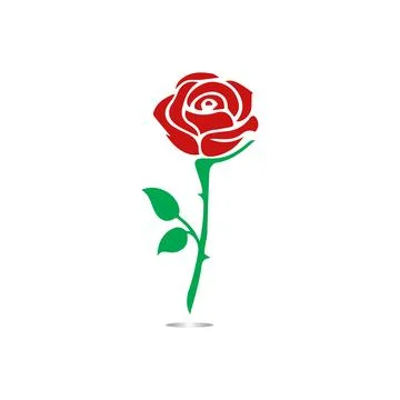 Red roses hand drawn Stock Illustration