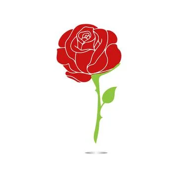 Red roses hand drawn Stock Illustration