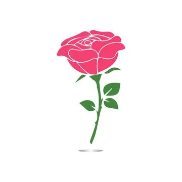 Red roses hand drawn Stock Illustration