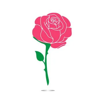 Red roses hand drawn Stock Illustration