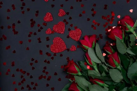 Red roses for the holiday on a dark background, Valentine's Day, March 8. Stock Photos