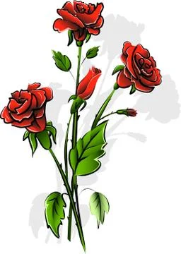 Red roses Stock Illustration