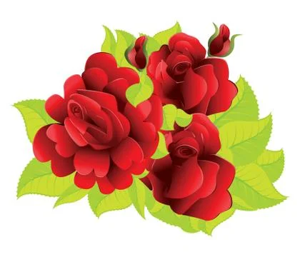 Red roses with leaves Stock Illustration