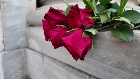 Red Roses at Monument Base Slow Motion Close-up 4K Vídeos de archivo 327482707