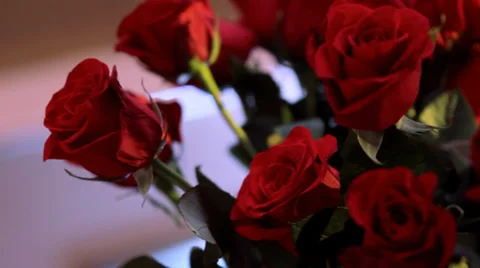 Red Roses Pan Video stock 35825072