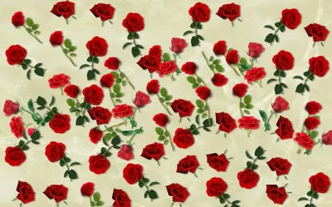 Red roses pattern on beige background Stock Illustration
