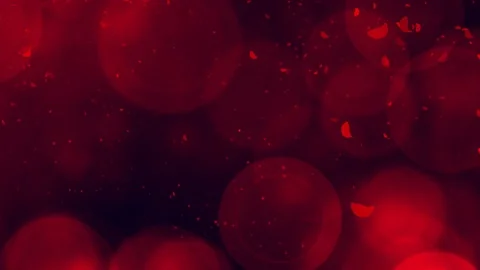 Red roses petals falling, romantic valentine background Stock Footage 72356959