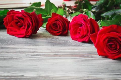 Red roses Foto stock
