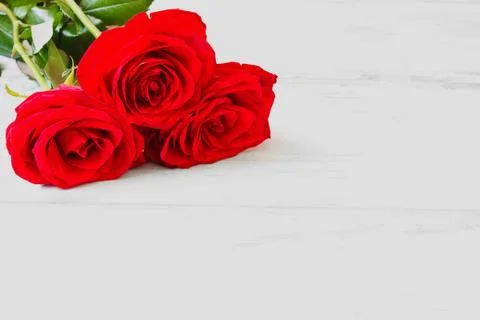 Red roses Stock Photos