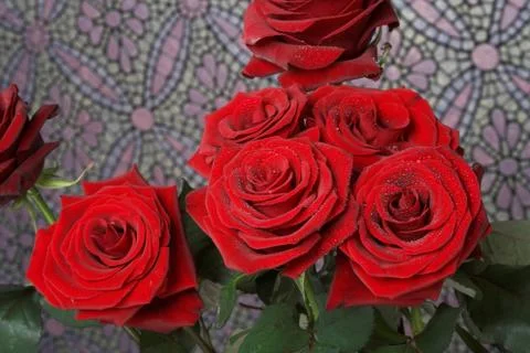 Red roses Foto stock