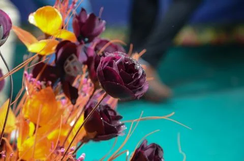 Red Roses Stock Photos