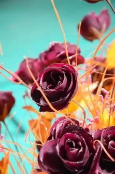 Red Roses Stock Photos