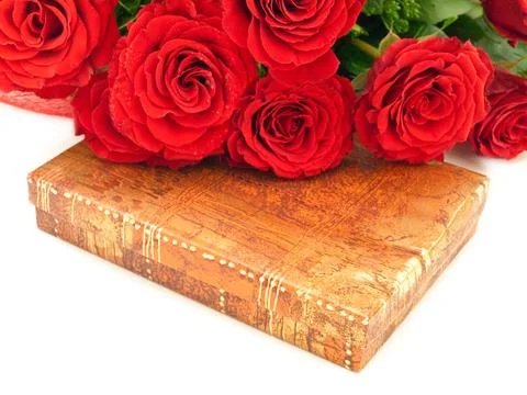 Red Roses Stock Photos