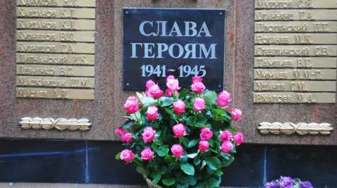 Red roses Stock Photos