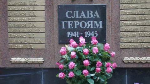 Red roses Stock Photos