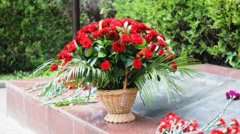 Red roses Stock Photos