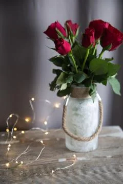 Red Roses Stock Photos