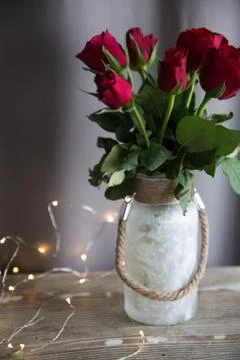 Red Roses Stock Photos