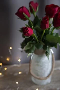 Red Roses Stock Photos