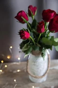 Red Roses Stock Photos