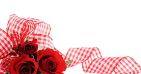 Red roses Stock Photos