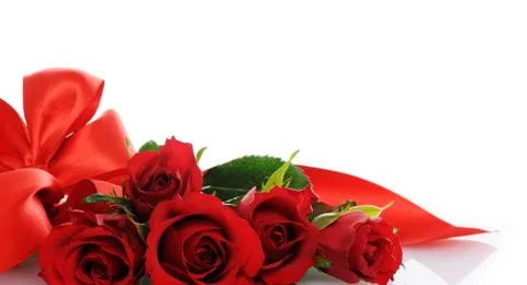 Red roses Stock Photos