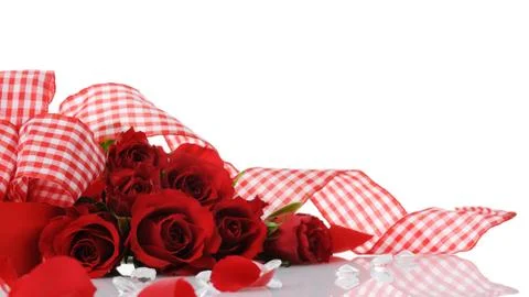 Red roses Stock Photos
