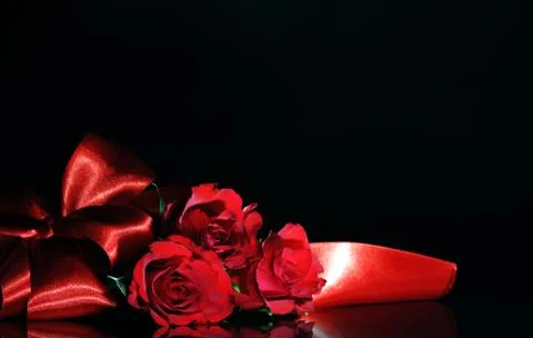 Red roses 库存照片