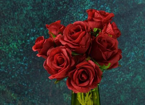 Red roses Stock Photos