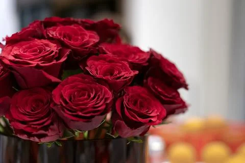 Red Roses Stock Photos