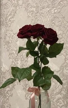Red roses Stock Photos