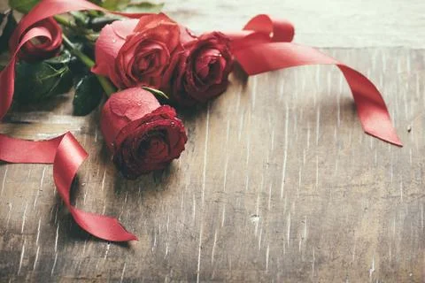 Red roses Fotos Stock